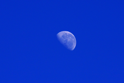 DSC05098