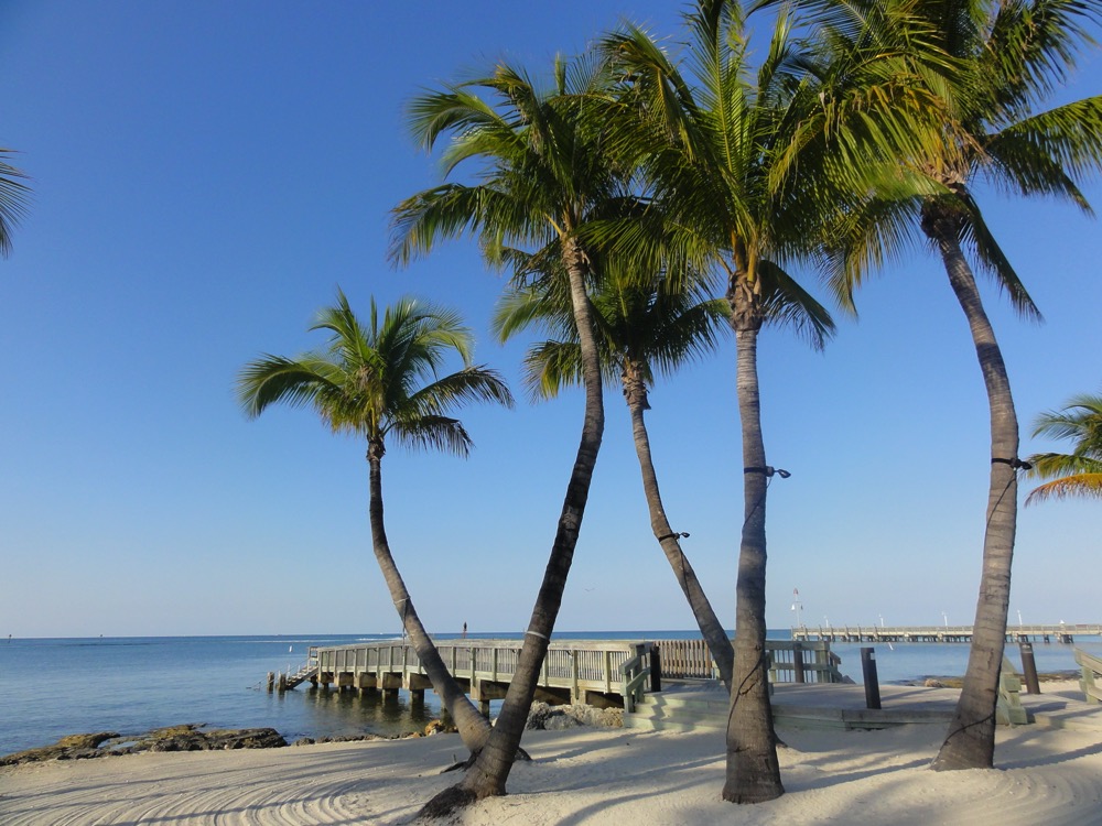Florida 2011